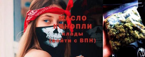 гидра Дмитров