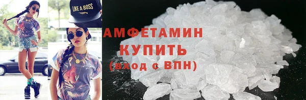 твердый Дмитровск