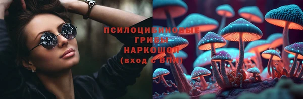 твердый Дмитровск