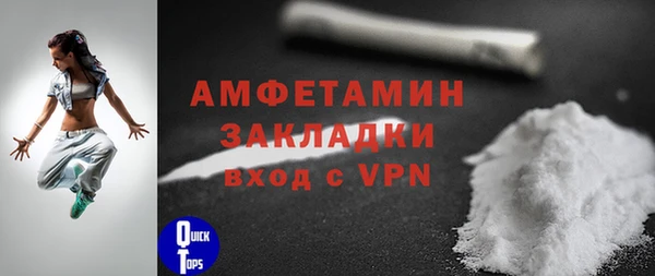 гидра Дмитров