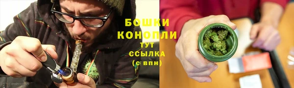 гидра Дмитров