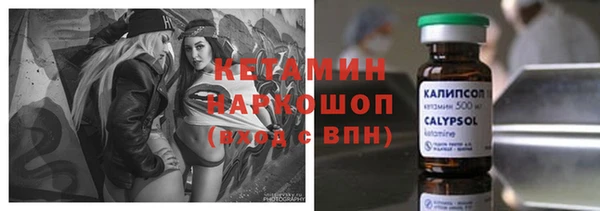 твердый Дмитровск
