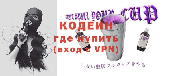 твердый Дмитровск