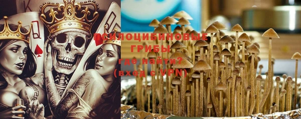 твердый Дмитровск