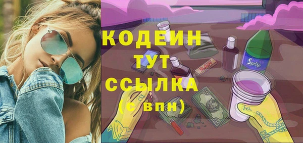 твердый Дмитровск