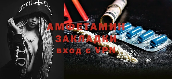 твердый Дмитровск