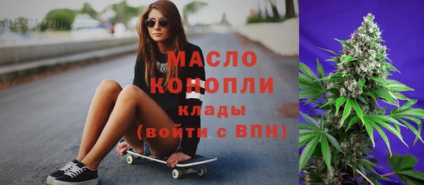 твердый Дмитровск