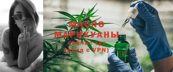 твердый Дмитровск