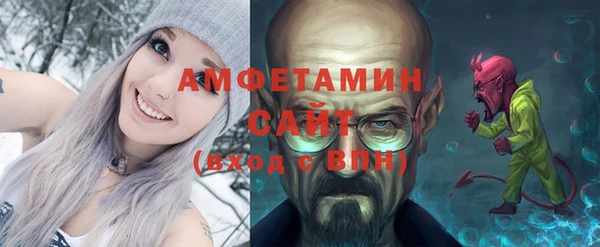 твердый Дмитровск