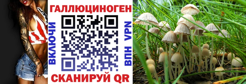 Купить Когалым Псилоцибиновые грибы GOLDEN TEACHER